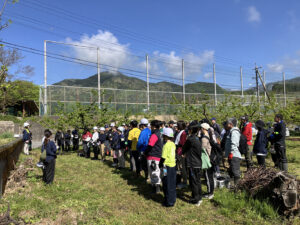 環境教育